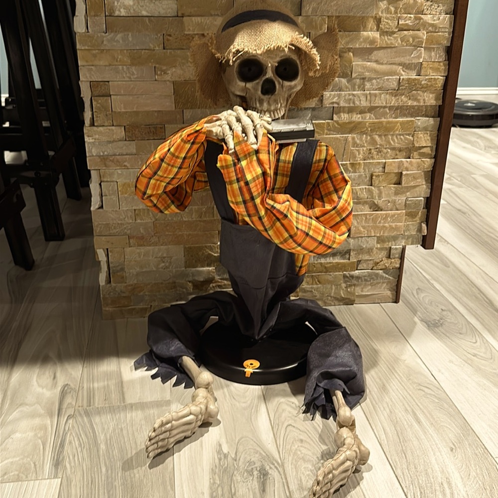 Musical Skeleton.  See video for music.